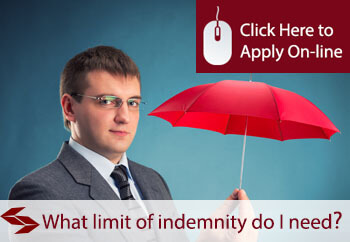 what limit of indemnity do I need