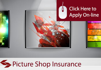 Picture Shop Insurance