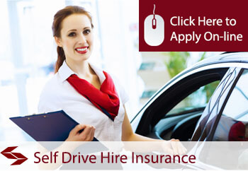 self drive hire insurance