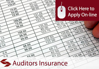 Auditors Public Liability Insurance