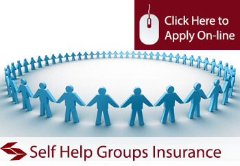 Self Help Groups Liability Insurance