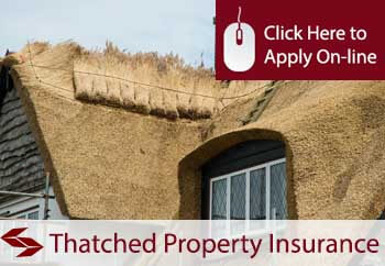 thatched property insurance